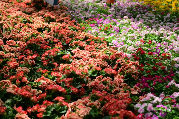 Faire installer une climatisation : choisissez l'efficacité