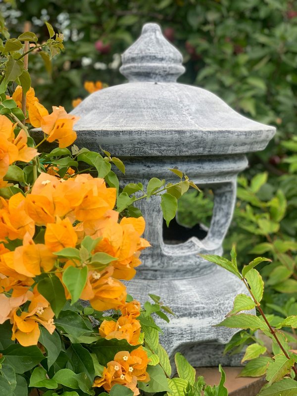 Gardeco : sublimez votre jardin et votre espace outdoor